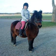 Anden særlig race Thor