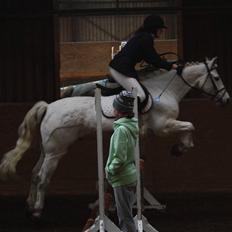 Connemara Nørlunds Castor