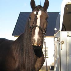 Tinker Joey Mac Nessa