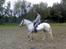 Knabstrupper Bonny*SOLGT*(Eftersøges) - Savner sku den pony <3