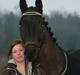 Trakehner Helion De L