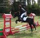 Welsh Pony (sec B) Bjerregaards Valentin (Valle)