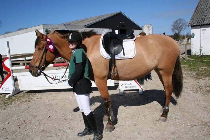 Anden særlig race Miss Juni Univerze SOLGT!! - færdig med springning .. jubbii fik to roseter hjem billede 13