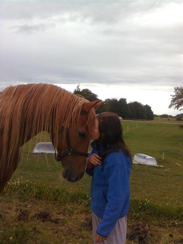 Frederiksborg Lucky Lykkebo  - Lucky Lykkebo <3 (Kys :* Det er det piger er til for?) billede 1