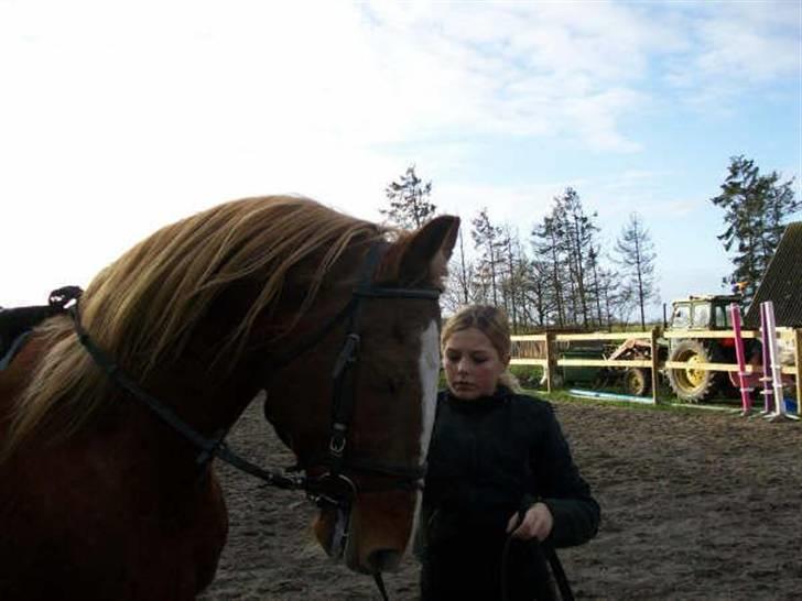 Frederiksborg Lucky Lykkebo  - . billede 4