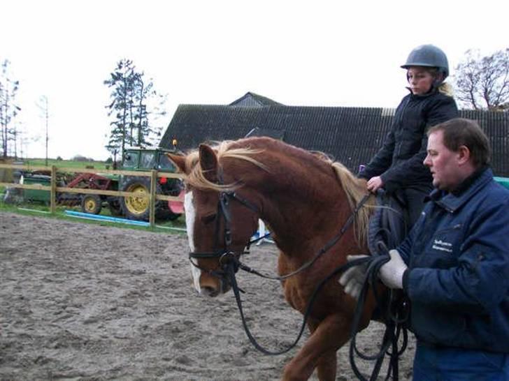 Frederiksborg Lucky Lykkebo  - :) billede 6