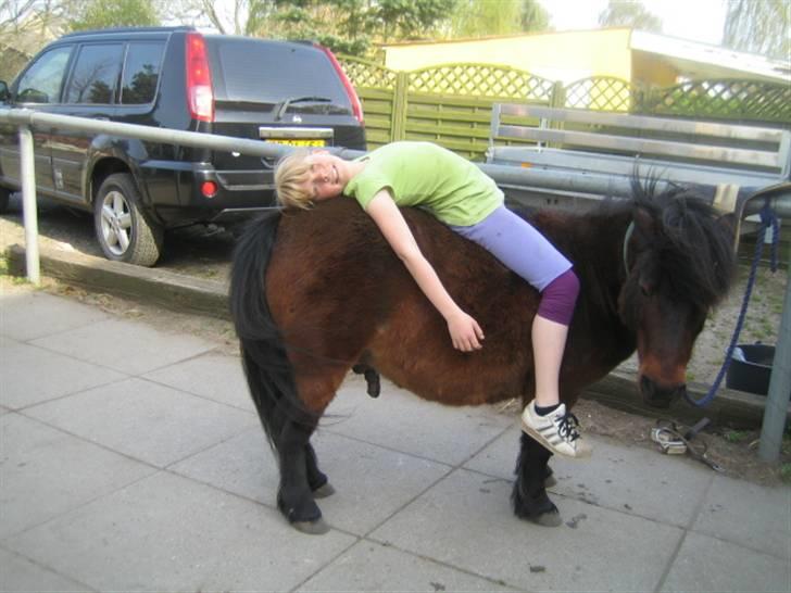 Anden særlig race Claus<3Gammel passerSOLGT - jaah han er da dejlig at lægge på:) billede 2