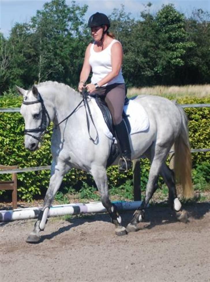 Anden særlig race Miss behaven<3 - min mor og misse billede 6