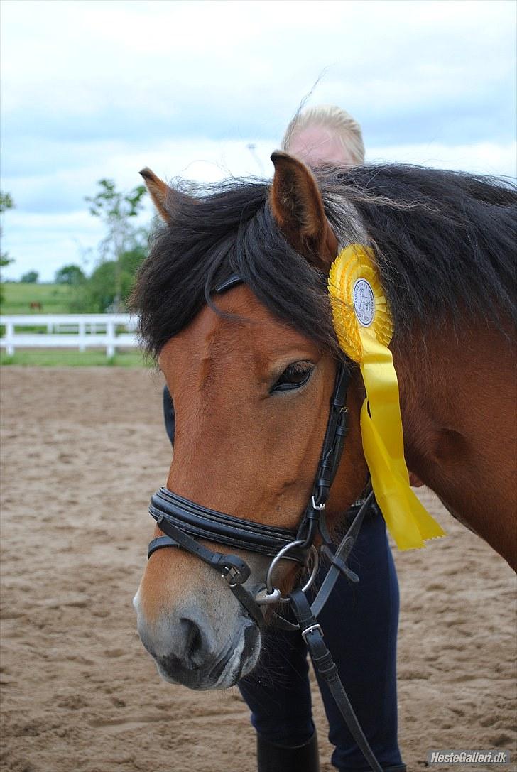 Anden særlig race Rikke<3 - Rikke efter sin Lb klasse (: foto; Rikke B Hansen<3 billede 1