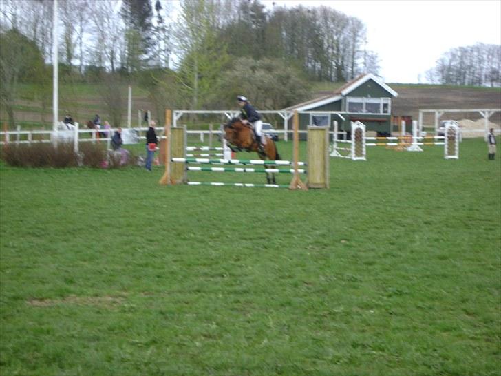 Anden særlig race Rikke<3 - Rikke&Louise til stævne på SPS <33 billede 2