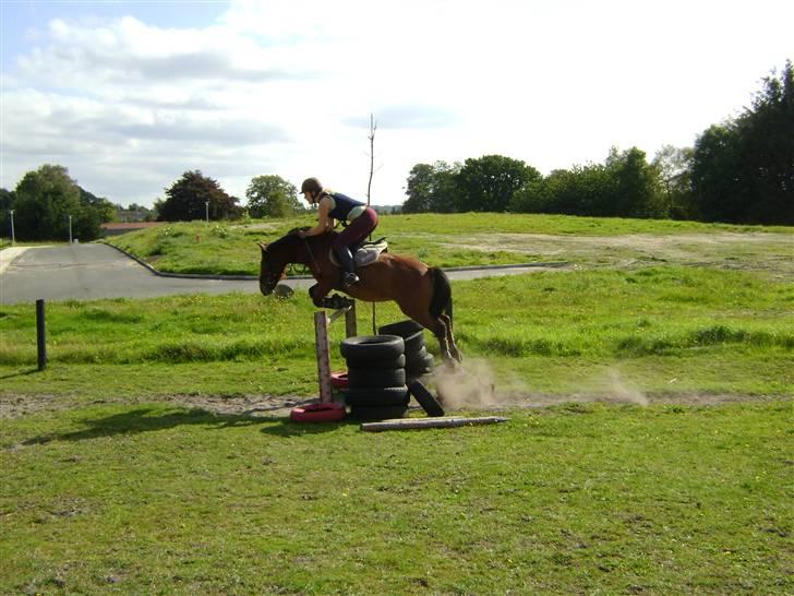 Anden særlig race Rikke<3 - Rikke&mig:) springer 120. Foto: Louise billede 3