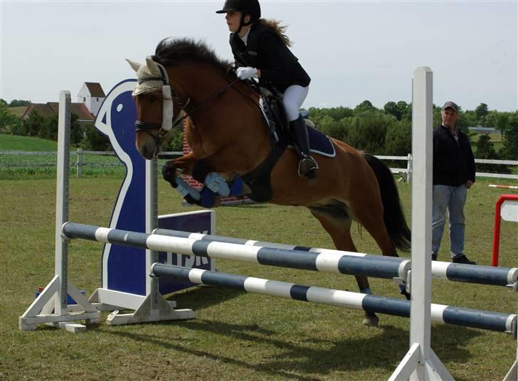 Anden særlig race Rikke<3 - springstævne. Louise&Rikke . foto. Stine Bach billede 8