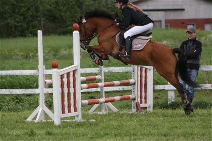 Anden særlig race Rikke<3 - Louide&Rikke til stævne <3 ih min pony kan jo "flyve" :D billede 9