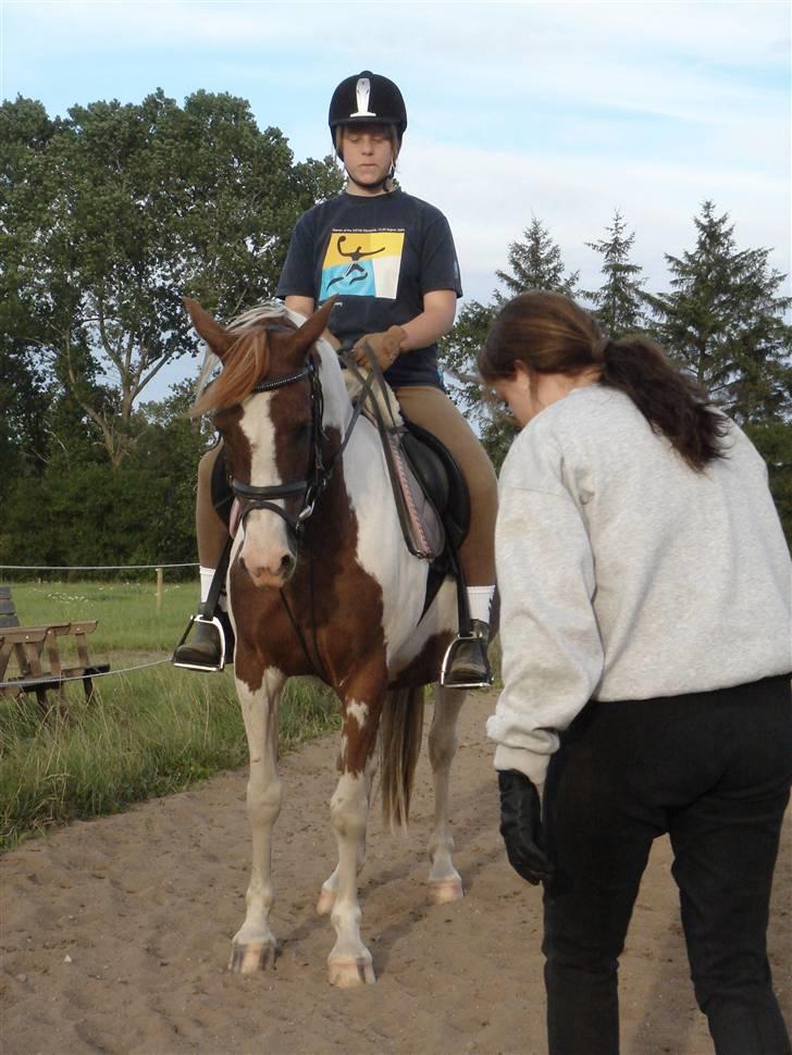 Pinto Speedy I I  - undervisning ved Line :)  billede 20