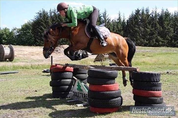 Anden særlig race Rikke<3 - til spring :P billede 18
