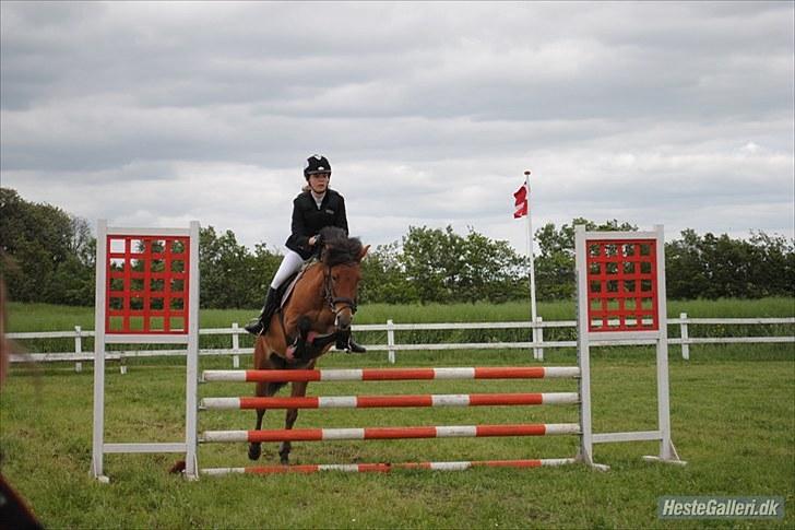 Anden særlig race Rikke<3 - Rikke&louise til stævne<3 billede 19
