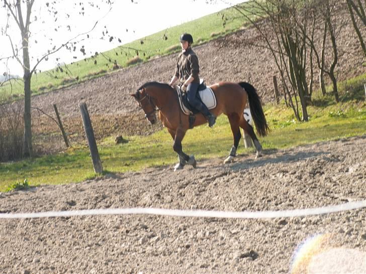 DSP Manilla M solgt - Så er vi i gang med at skridte varm:-) billede 7