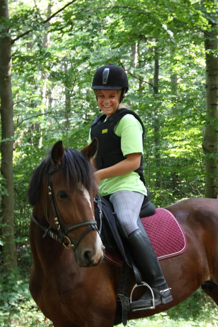 New Forest Fanny - i skoven :) billede 2