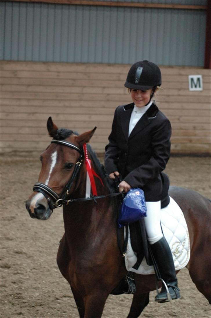 New Forest Fanny - Maribo 30/5 09 (: billede 8