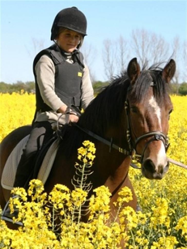 New Forest Fanny - På hendes første tur :D     (billedet taget af Helle Nymann) billede 9