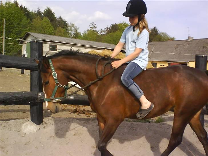 New Forest Fanny - Lidt hygge :) billede 11