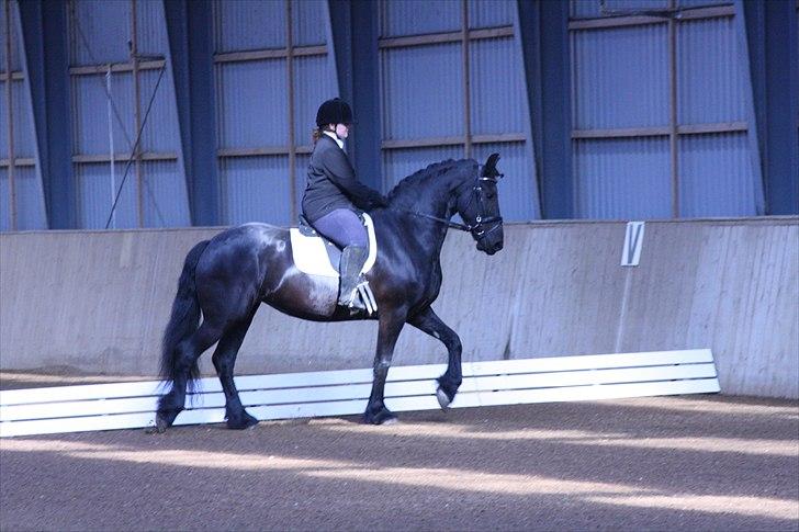 Frieser Neeltje Jacoba V. Swichum - Jubilæums-stævne 1 maj 2011. Og det er mig der rider. (Taget af Stine Tomach) billede 2