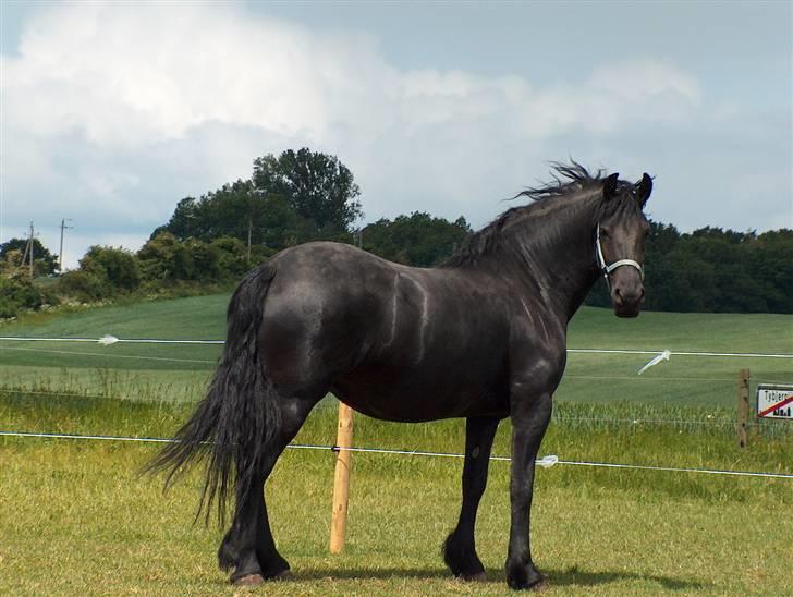 Frieser Neeltje Jacoba V. Swichum - Her er hun 11 måneder og 5 dage henne billede 9