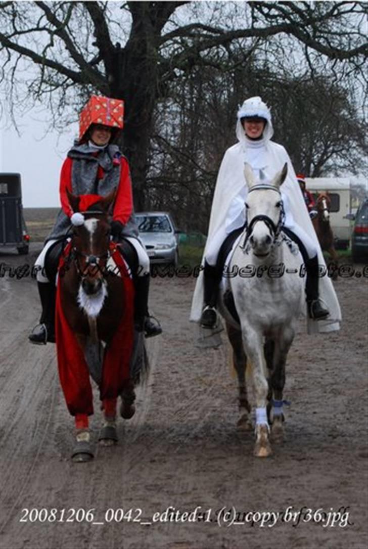 Anden særlig race Lille Karlshøj's Theo - den sejeste julemand med sækken , og snedronningen :P *theo & shadow* til jule stævnet i englerup *jette i sadlen billede 16