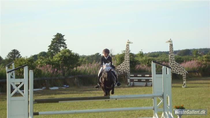 DSP Clements star fighter B-PONY <3 billede 19