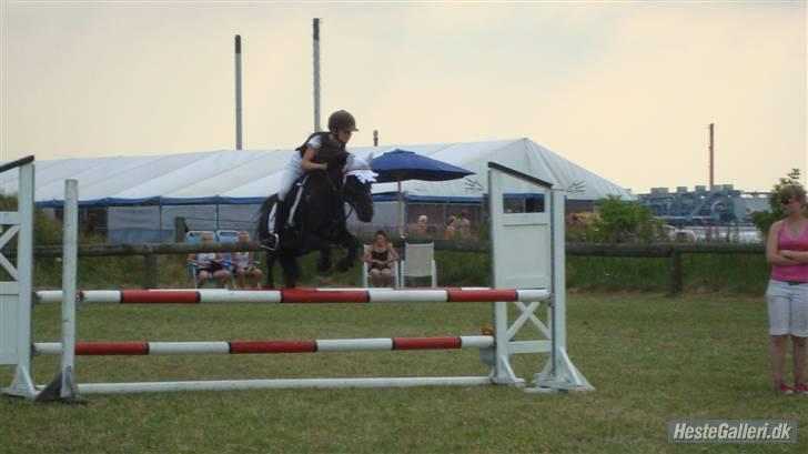 DSP Clements star fighter B-PONY <3 billede 20