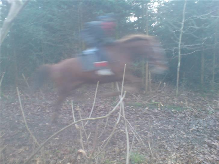 Traver Destany - beklager meget kvaligteten :( billede 2