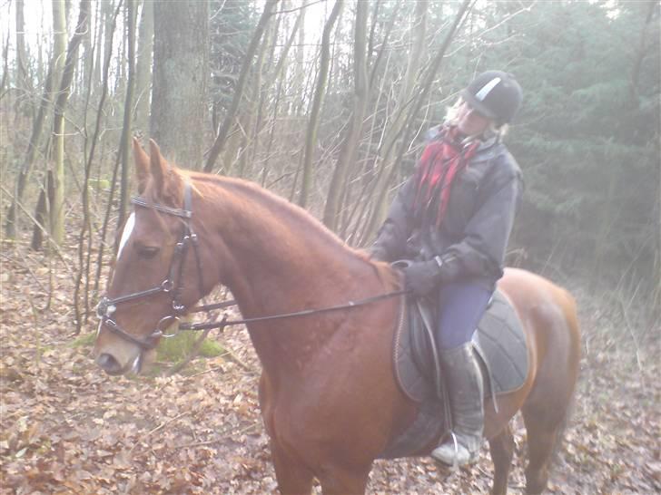 Traver Destany - der var et dådyr:) billede 3