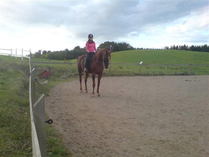 Traver Destany - misundlig..?? billede 8