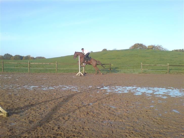 Traver Destany - stadig de 90:) billede 12