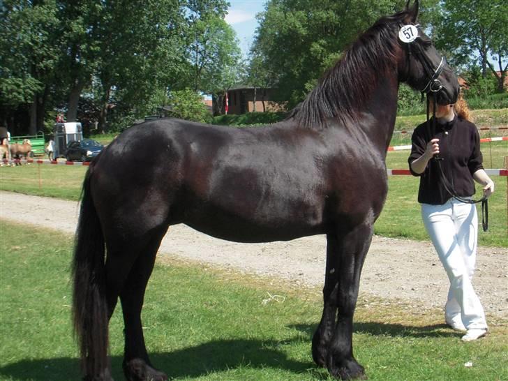 Frieser  # BLAKE # solgt - Blakes mor jetske  billede 19