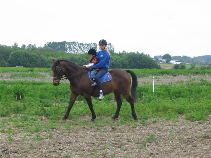 DSP Tiger R.I.P. - Tiger med Victor, en af hendes bedste ride kammerater. billede 8