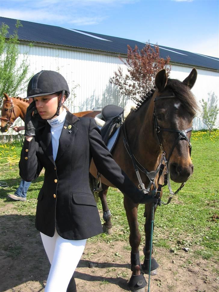 DSP Tiger R.I.P. billede 9