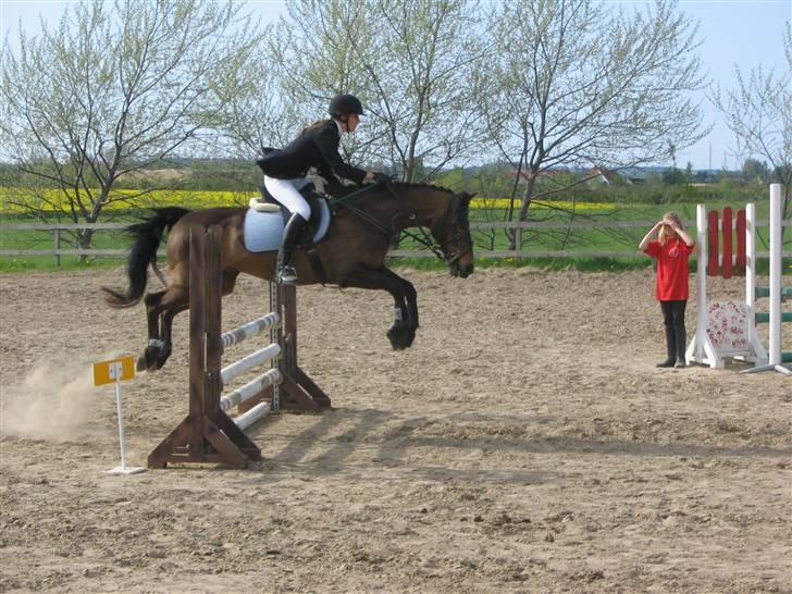 DSP Tiger R.I.P. billede 10