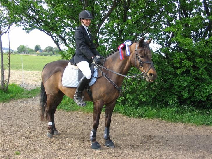 DSP Tiger R.I.P. billede 11