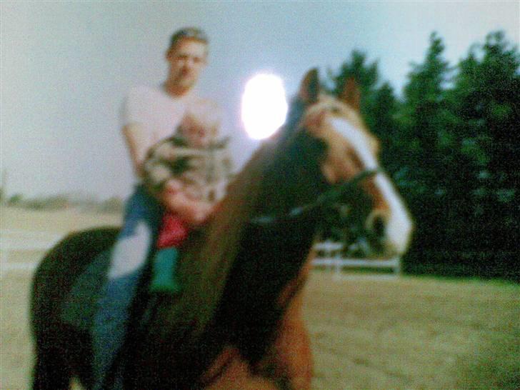 Frederiksborg Lucky Lykkebo  - Lucky med min lille fætter ;* billede 13