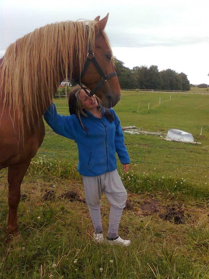 Frederiksborg Lucky Lykkebo  - STOR STOR Bo :* billede 15