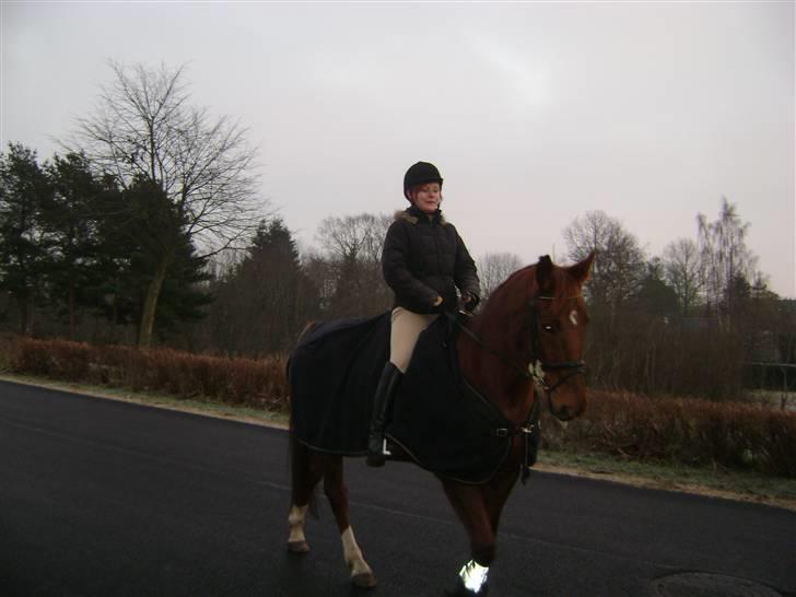 Dansk Varmblod Carmen Nøddebo - solgt - den 30/12 08 på min fødselsdag var vi li ude på tur og så mødte jeg li min veninde tanja =) billede 10