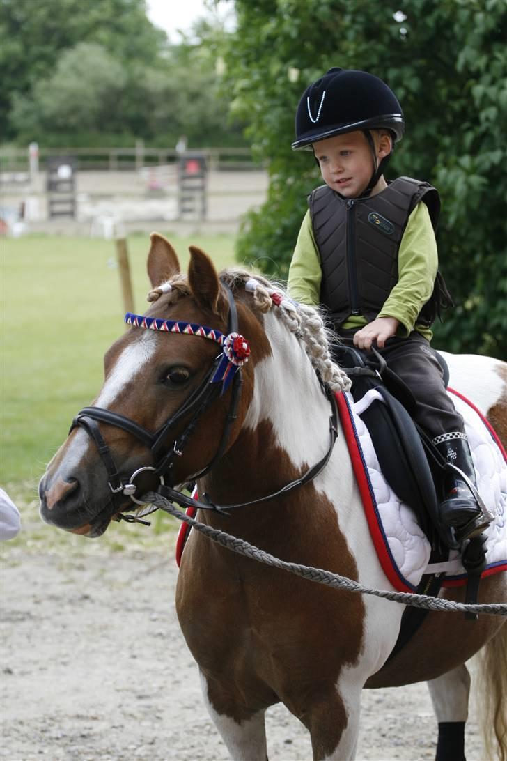 Anden særlig race Chilli Pepper - stævne juni 2009 billede 10