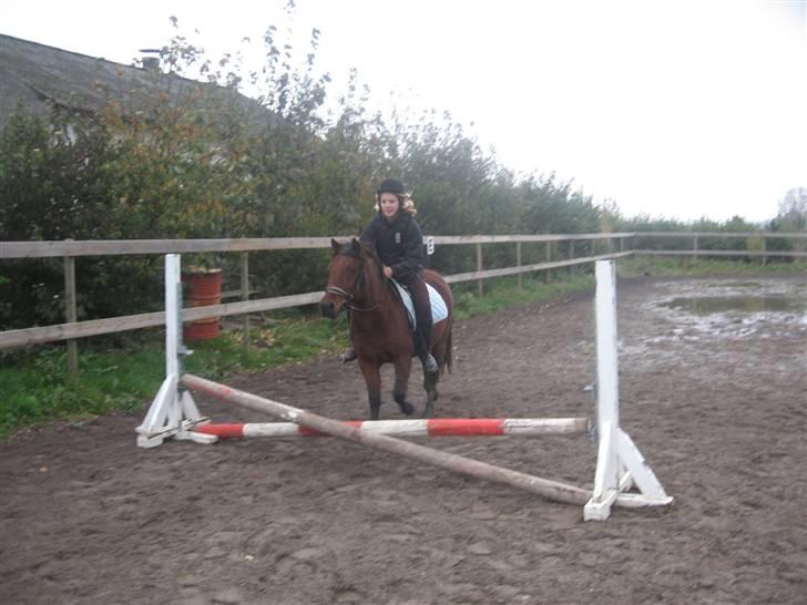 Anden særlig race Moonlight *SOLGT* - Mor+kamera= Ikke gode billeder! XD billede 7