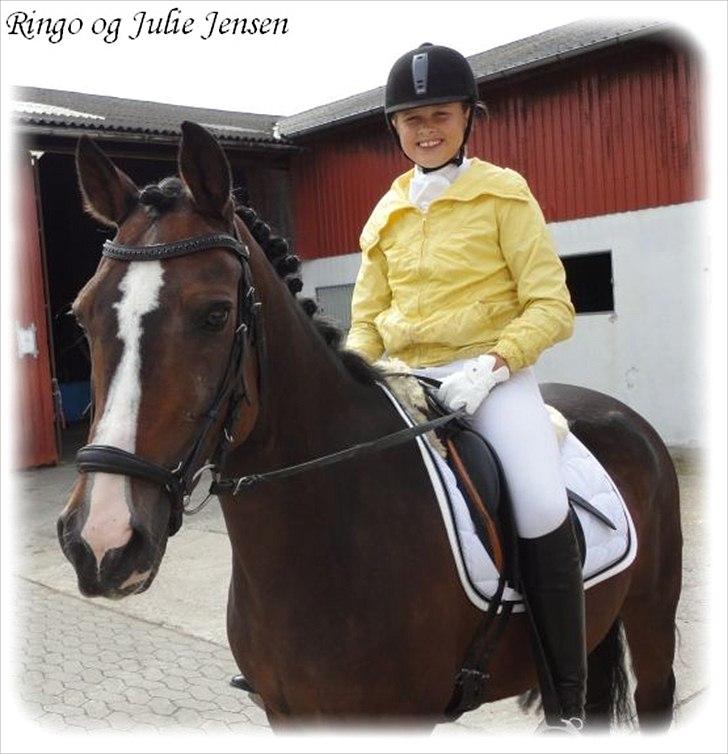 DSP Ringo   Død d. ( 10/9-14) - Julie i sin nye jakke billede 13