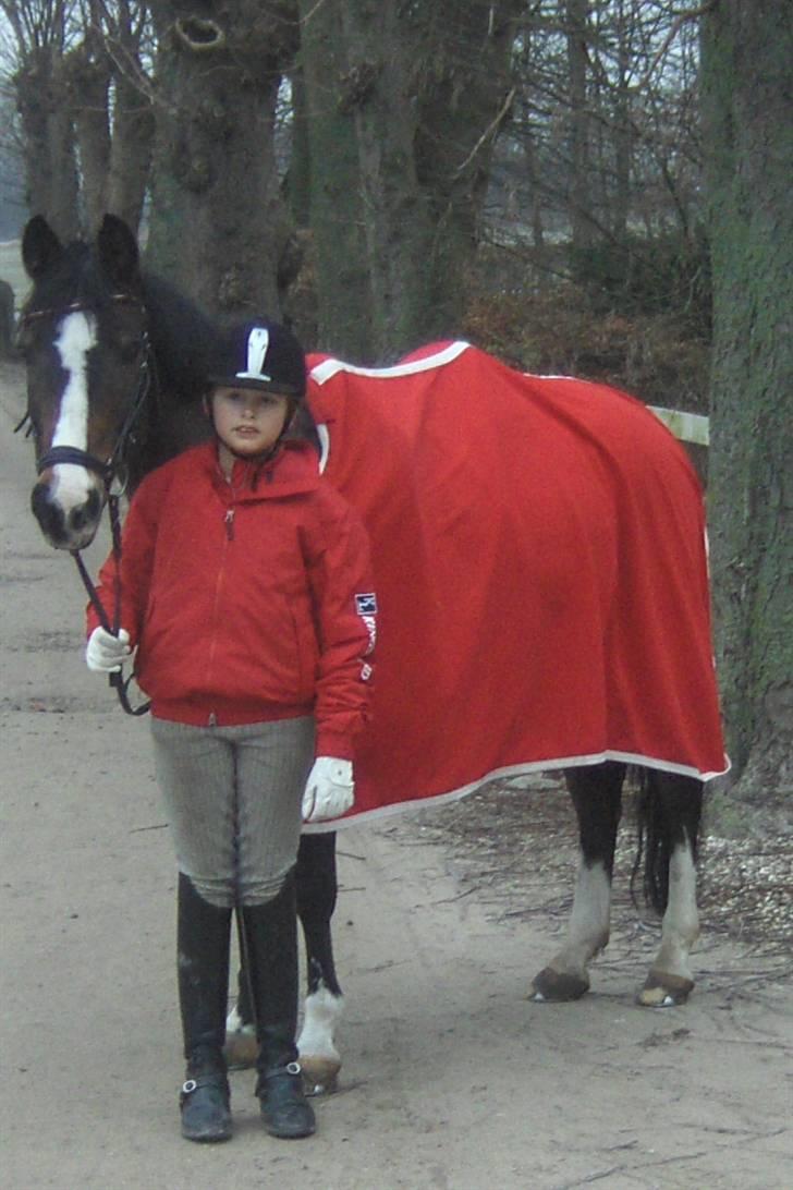 DSP Ringo   Død d. ( 10/9-14) - nytår 2008/2009 billede 14