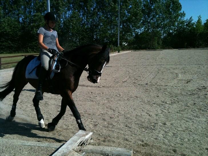 DSP Ringo   Død d. ( 10/9-14) - 20. Juli 2010 billede 16