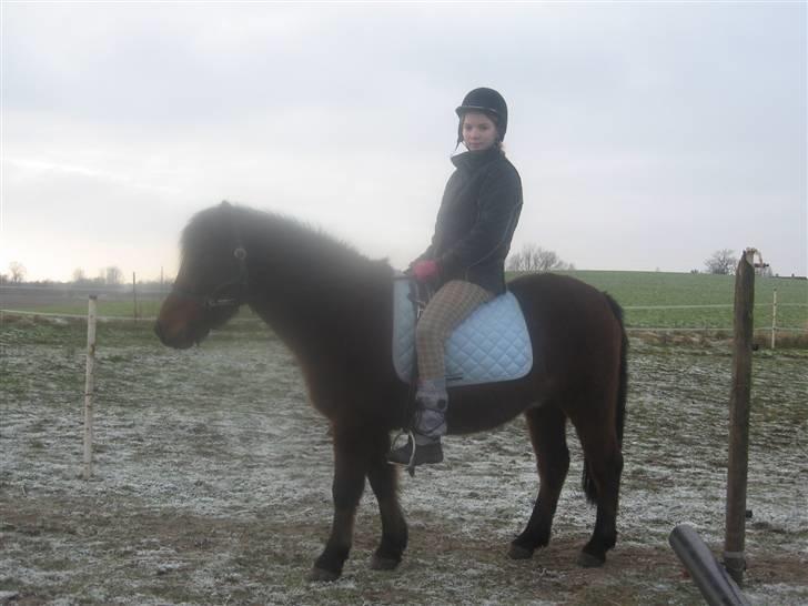 Anden særlig race Moonlight *SOLGT* - Her red vi på banen da det var frost. billede 10