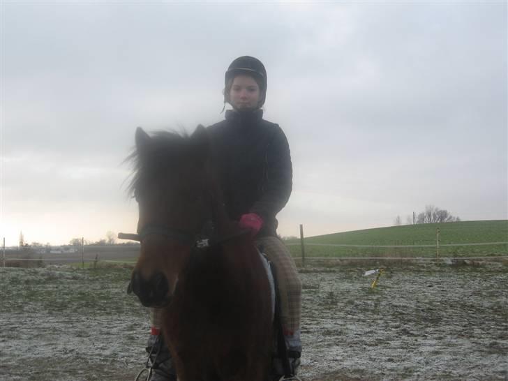 Anden særlig race Moonlight *SOLGT* - Her red vi også på banen billede 11