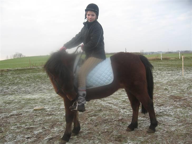 Anden særlig race Moonlight *SOLGT* - Han kysser min støvle billede 12